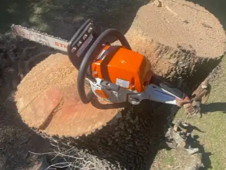 Tree Cutting